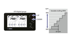 Telecomando elettronico '-by-wire' acceleratore / cambio marcia e il controllo regime di traina RPM
