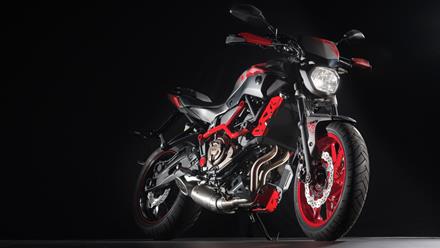 Yamaha MT-07 Moto Cage (2015-2017) • For Sale • Price 